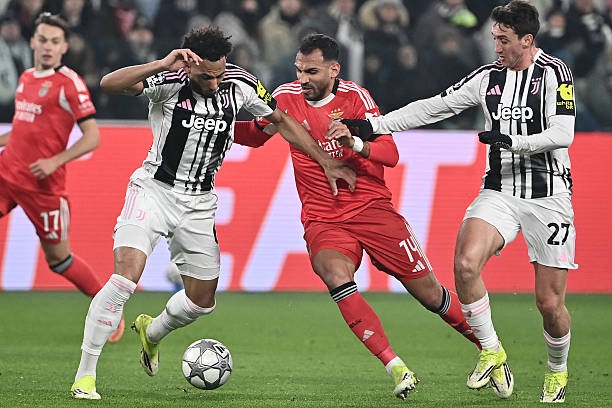 Xem xoilac tv trực tiếp mọi trận world cup hôm nay hướng dẫn xem xoilac tv trực tiếp chất lượng HD